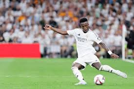 南方地区的 南方地区的